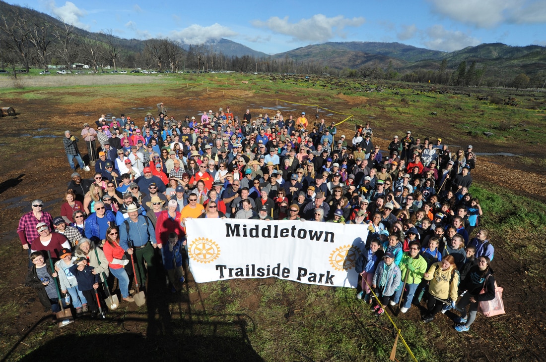 Hundreds of volunteers gather to replant part of Trailside Park in Middletown