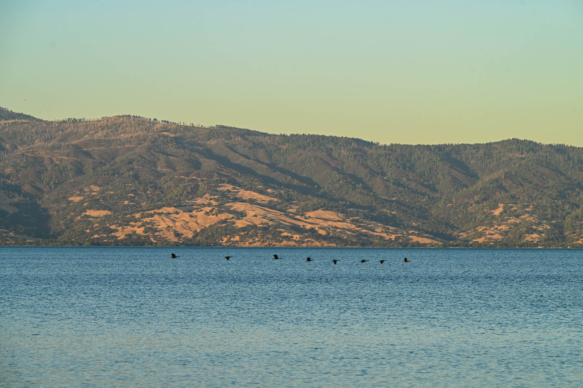 birds flying across lake with mountains on the background