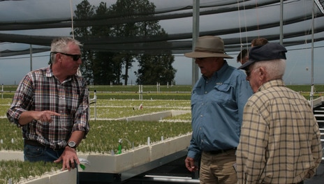 El Dorado RCD general manager Mark Egbert showing LCRCD Directors Bill Lincoln and Jim Bridges a few of the 100,000 conifer seedlings being raised for us at the US Forest Service nursery in Placerville