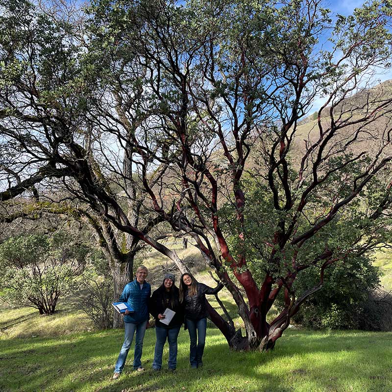 2-manzanita-800-Sqr manzanita tree and three people