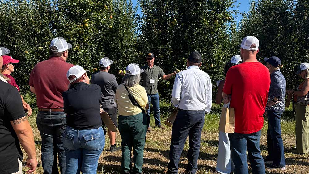 Greg-Panella-Pear-Cultivation Greg Panella discussing pear cultivation to a group of people.