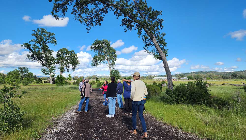 9.-Engagement group of people near trees and grassland