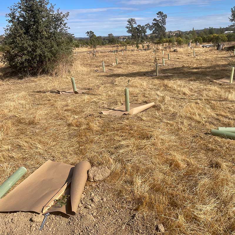 Environmental-Mitigation-layout-planning grass land with planned layout